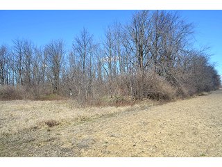 Property photo 32 - LAND AUCTION - 215+/- ACRES OFFERED IN 6 TRACTS IN VAN WERT COUNTY, OHIO